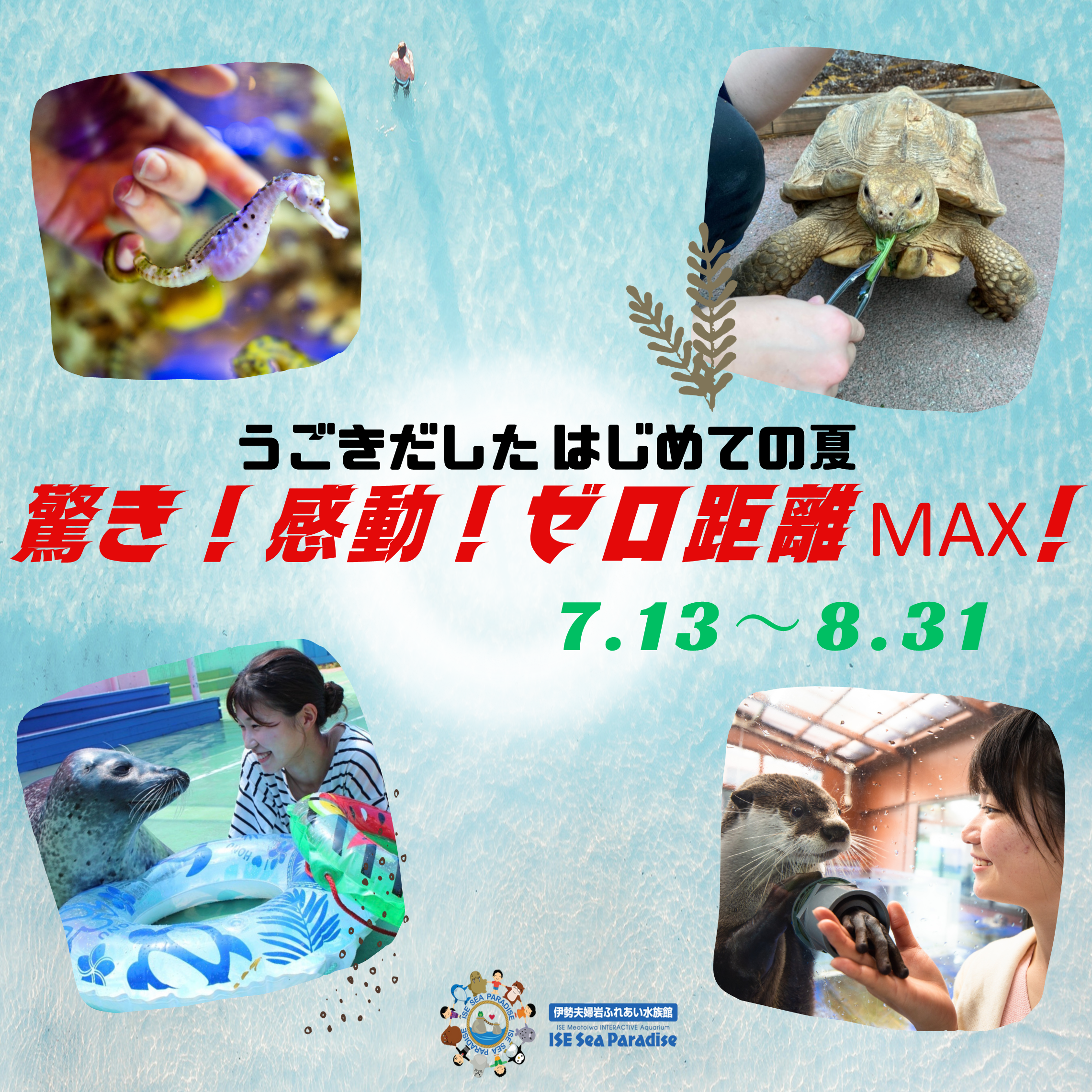 夏の伊勢シーパラダイス「驚き！感動！ゼロ距離MAX！」イベント第2弾の